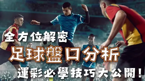中国篇章：共赏新春，世界共鸣
